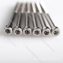 Customized Precision Stainless Steel  Cap Screw